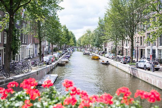 a1c7d5541ee4e8459ab761464b1a17dd