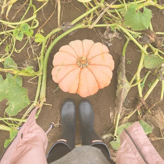 e3b77cf1e85c11e8ab0121348e87996b