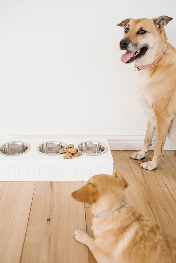 2b11929b0b5754e32cdc7667f607f2b7