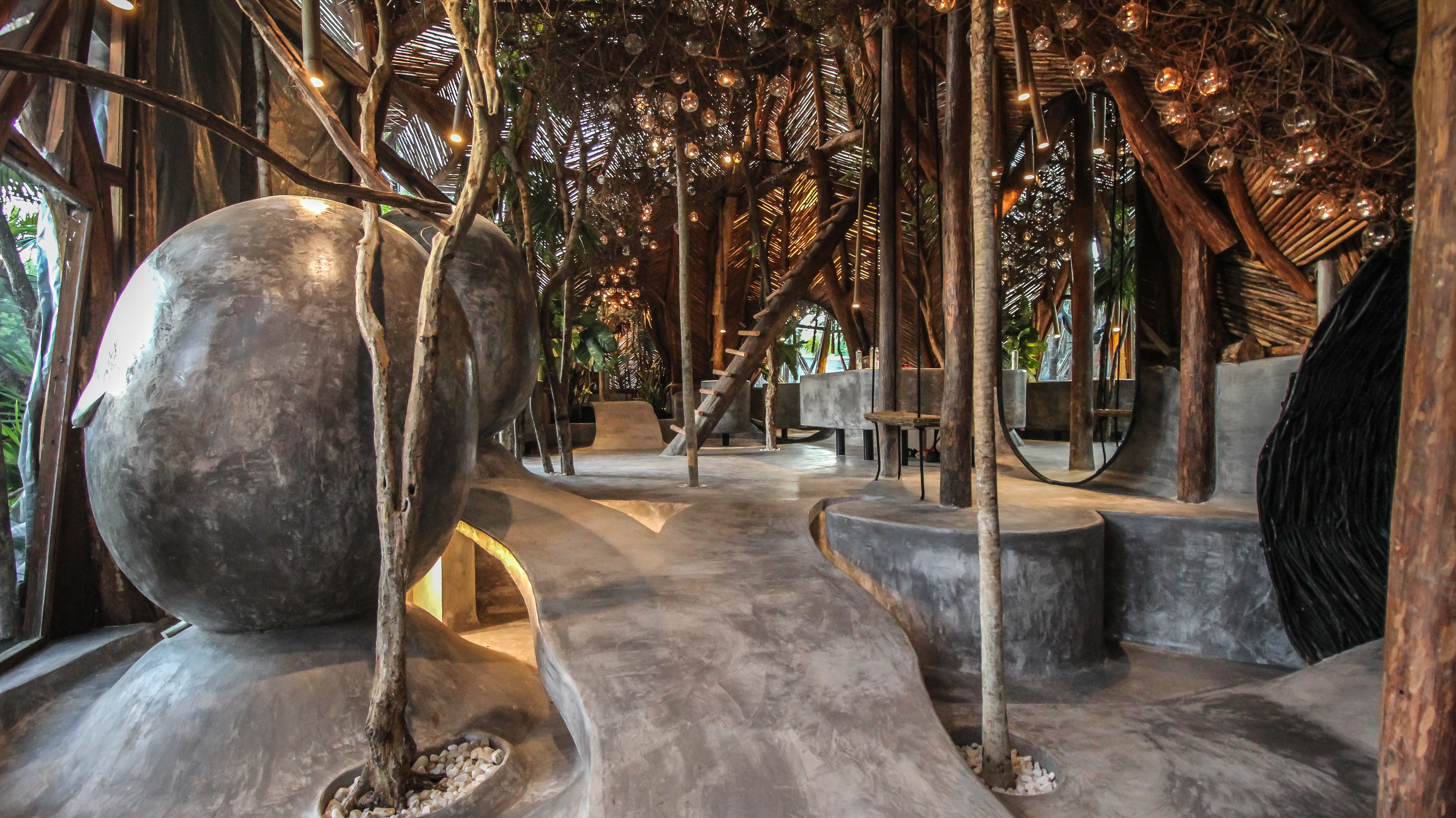 599488664dcd81502906470