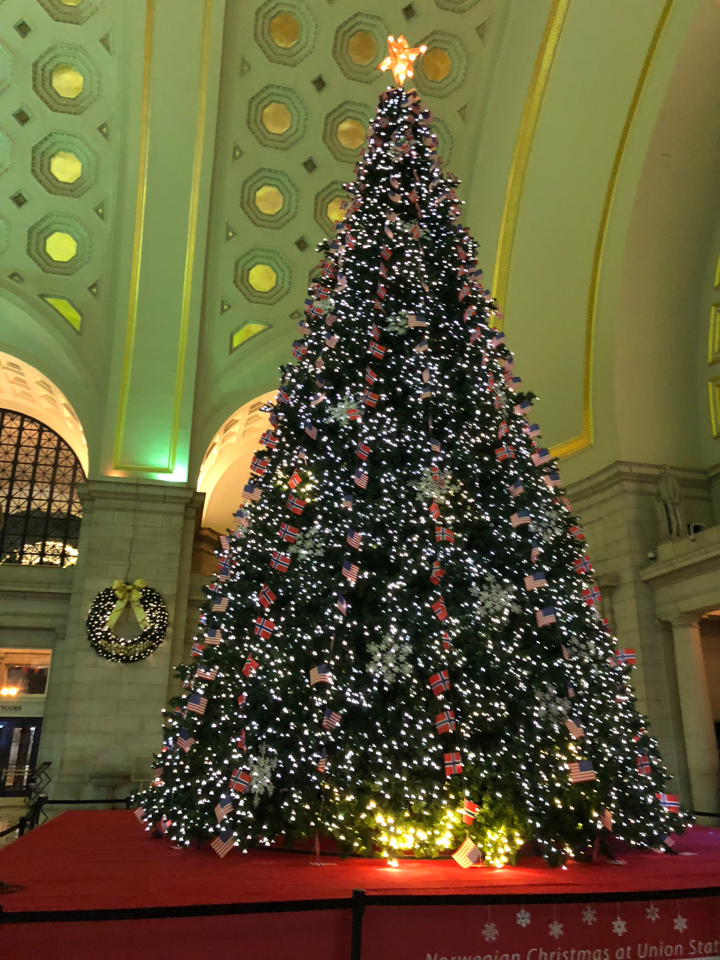 gWH8M9k0Q86Ugs6jxIZ7tw