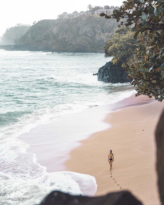 4126c4cfa721ff88cd7dc09cef547fc5