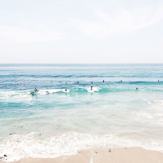 ee0a48cb69d0b37d92bbbd3dff25205e