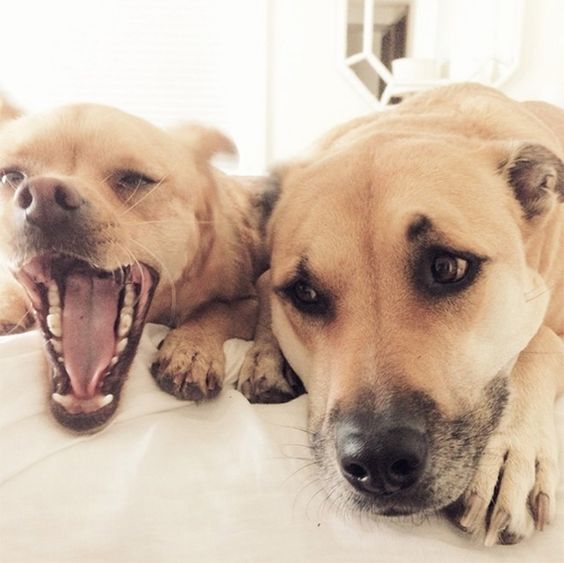 c37a2bf29f14fa82b2602a5cb36a2e64