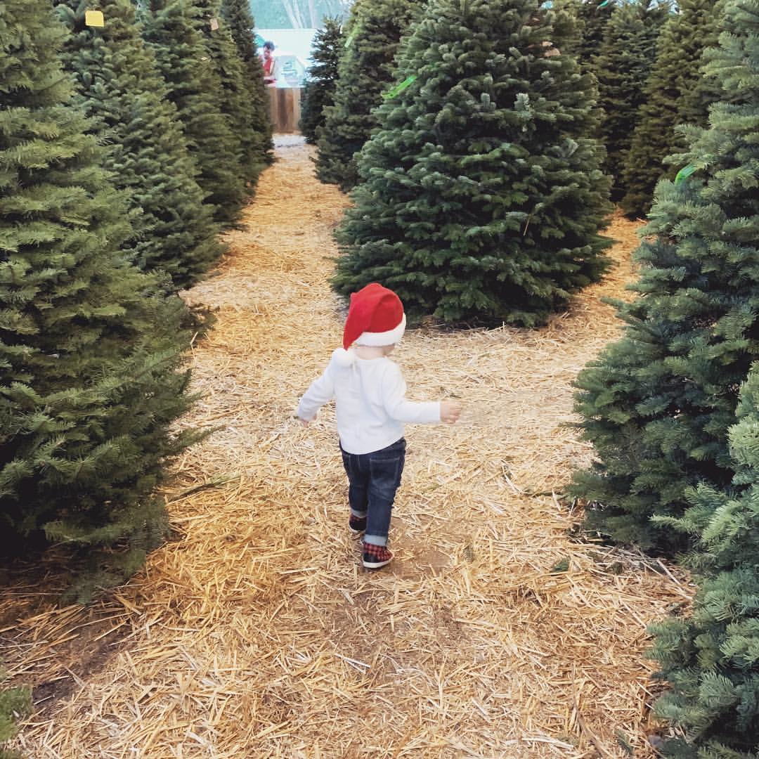 44718716_570143740089374_2739925904945384546_n